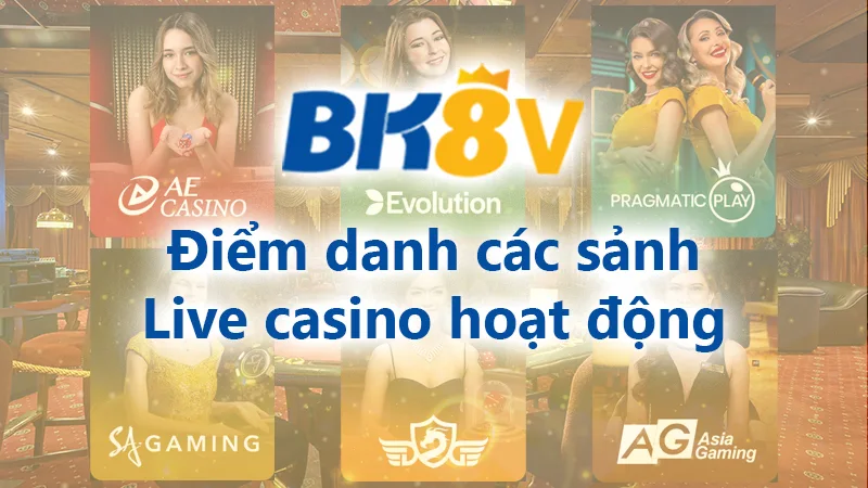 Các điểm casino đang hoạt động